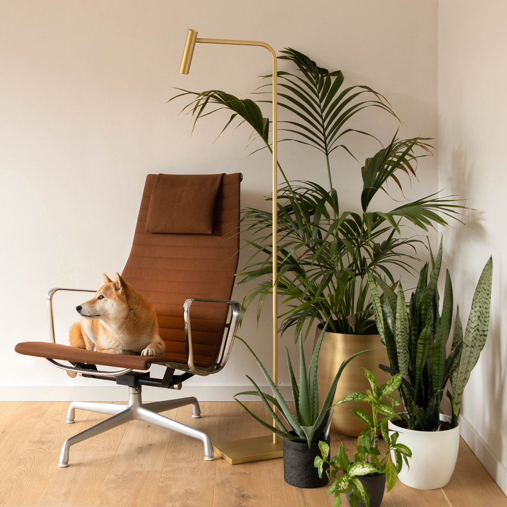 Gulvlampe Med Integreret LED Belysning | Metalkonstruktion Med Antik Messing Finish | Indendørs Læse & Stemningsbelysning | Vanero