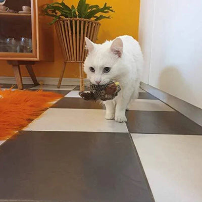 Catfri BirdToy | Interaktiv Kvidrende Fugl Legetøj Til Katte | Vanero