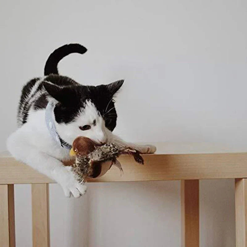Catfri BirdToy | Interaktiv Kvidrende Fugl Legetøj Til Katte | Vanero