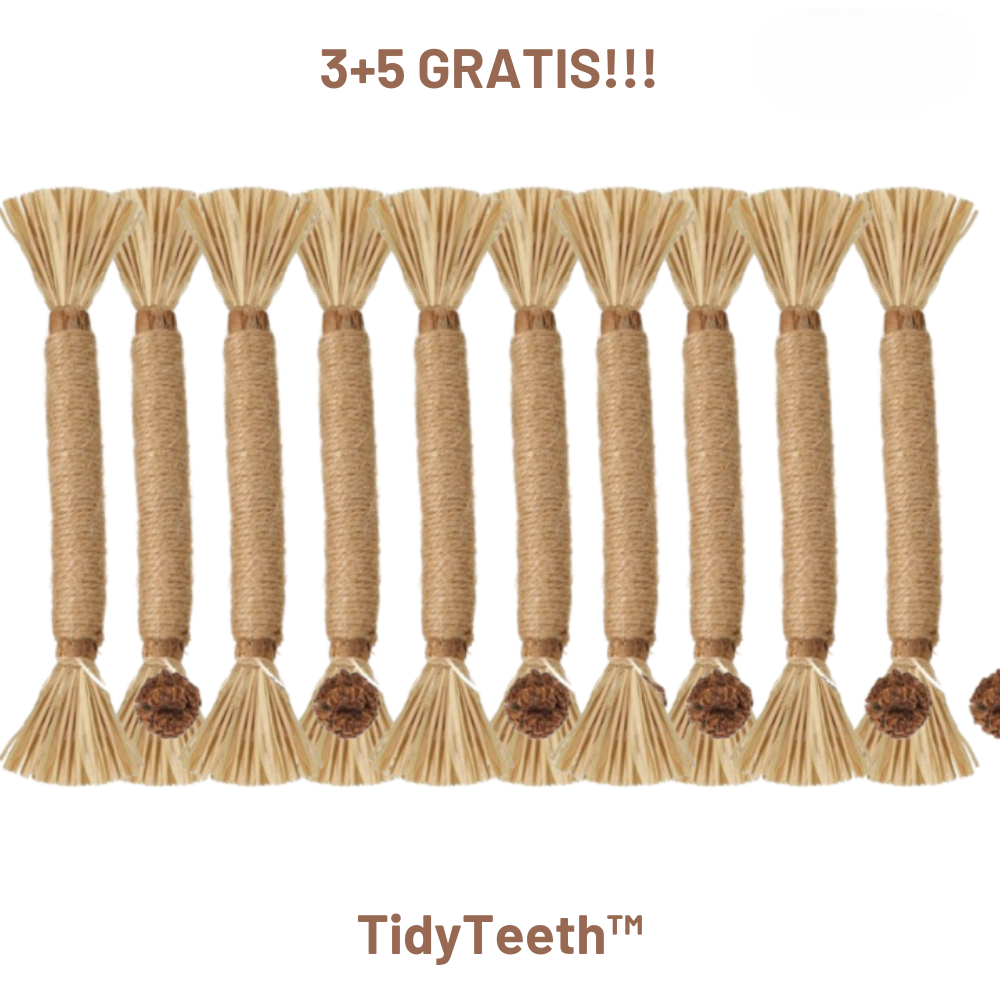 TidyTeeth | Naturlig Silvervine Stick tyggelegetøj til katte l Vanero