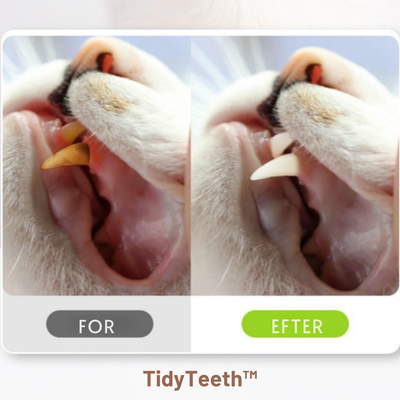 TidyTeeth | Naturlig Silvervine Stick tyggelegetøj til katte l Vanero