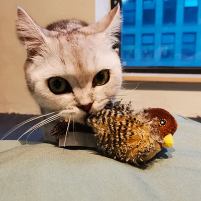 Catfri BirdToy | Interaktiv Kvidrende Fugl Legetøj Til Katte | Vanero