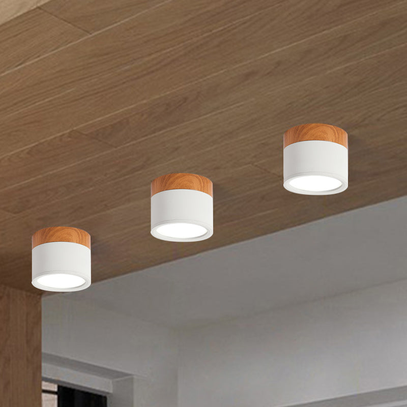 Kompakt LED Loftlampe | Loftbelysning i Metal og Glas | Indendørs Loftarmatur | Vanero