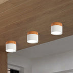 Kompakt LED Loftlampe | Loftbelysning i Metal og Glas | Indendørs Loftarmatur | Vanero