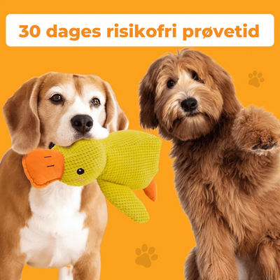 SoothingDuck | Anti-stress-anden til din hund l Vanero