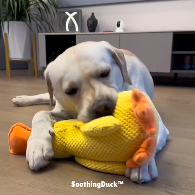 SoothingDuck | Anti-stress-anden til din hund l Vanero