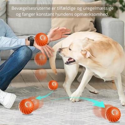 BounceMate | Interaktiv Bold Til Kæledyr l Vanero