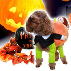 Hundekostume Fleece & Plys | Græskar Kostume med Stilk-Hætte | Halloween, Temafester & Sæsonaktiviteter | Vanero