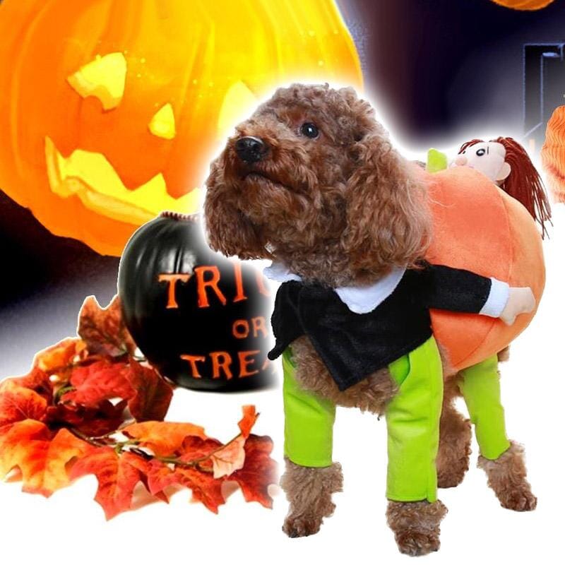 Hundekostume Fleece & Plys | Græskar Kostume med Stilk-Hætte | Halloween, Temafester & Sæsonaktiviteter | Vanero