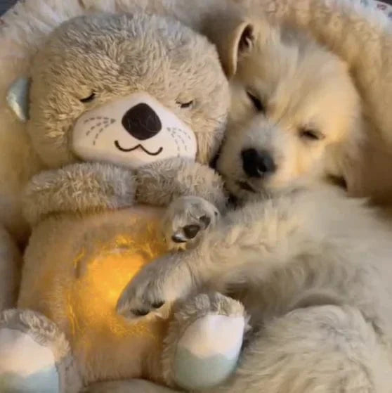 SleepBuddy | Odderen, der giver hvile og søvn | Vanero