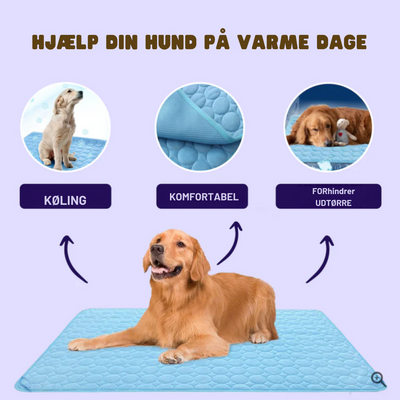 Kølemåtte til Hunde | Holder Din Hund Kølig & Komfortabel Hele Sommeren | Vanero