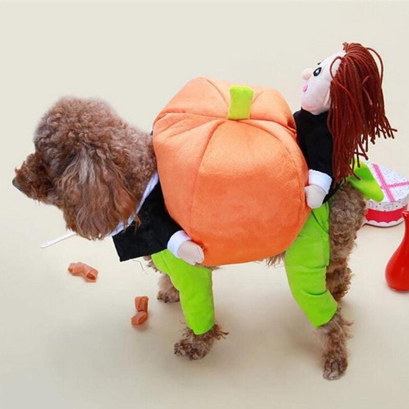 Hundekostume Fleece & Plys | Græskar Kostume med Stilk-Hætte | Halloween, Temafester & Sæsonaktiviteter | Vanero