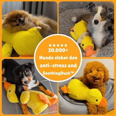 SoothingDuck | Anti-stress-anden til din hund l Vanero
