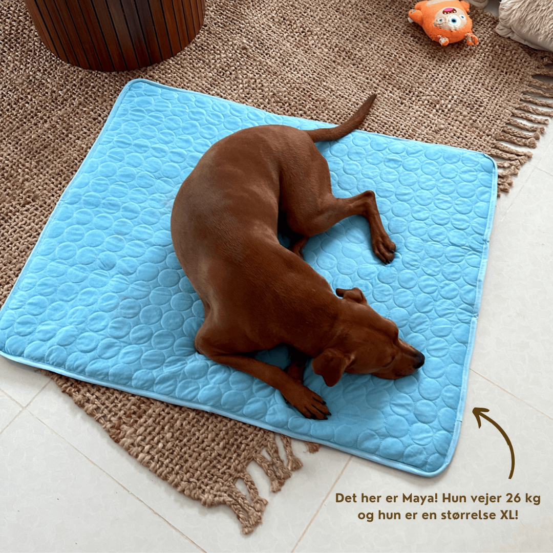 Kølemåtte til Hunde | Holder Din Hund Kølig & Komfortabel Hele Sommeren | Vanero