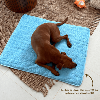 Kølemåtte til Hunde | Holder Din Hund Kølig & Komfortabel Hele Sommeren | Vanero