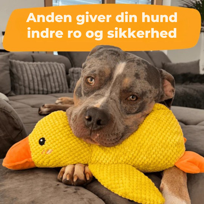SoothingDuck | Anti-stress-anden til din hund l Vanero