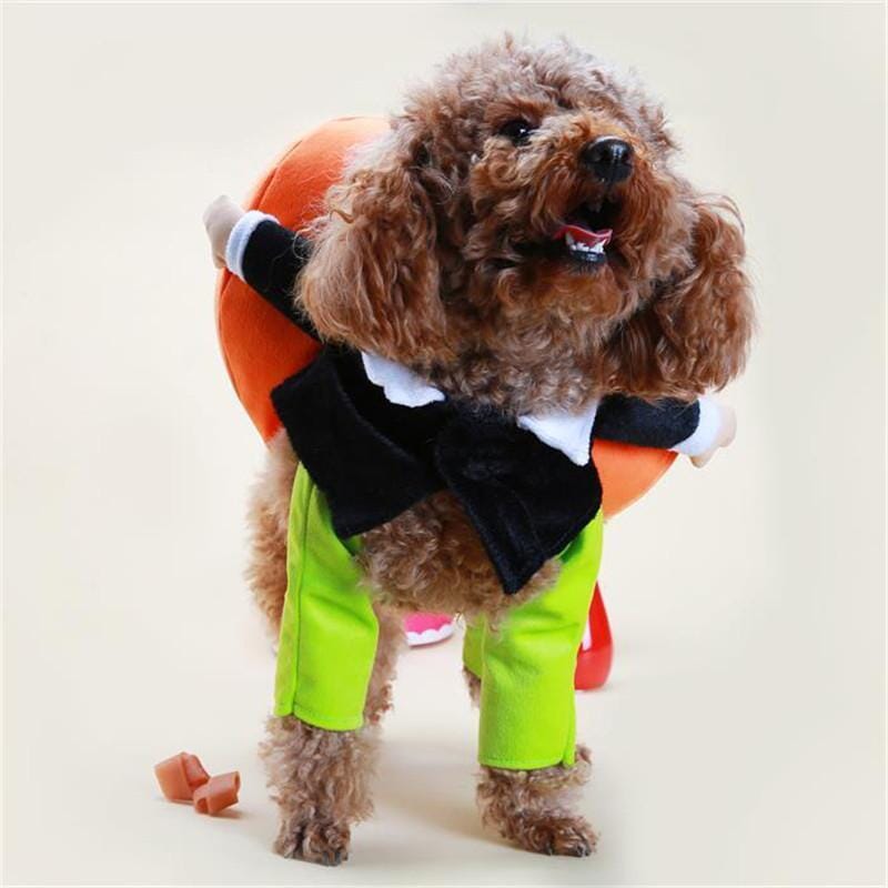 Hundekostume Fleece & Plys | Græskar Kostume med Stilk-Hætte | Halloween, Temafester & Sæsonaktiviteter | Vanero