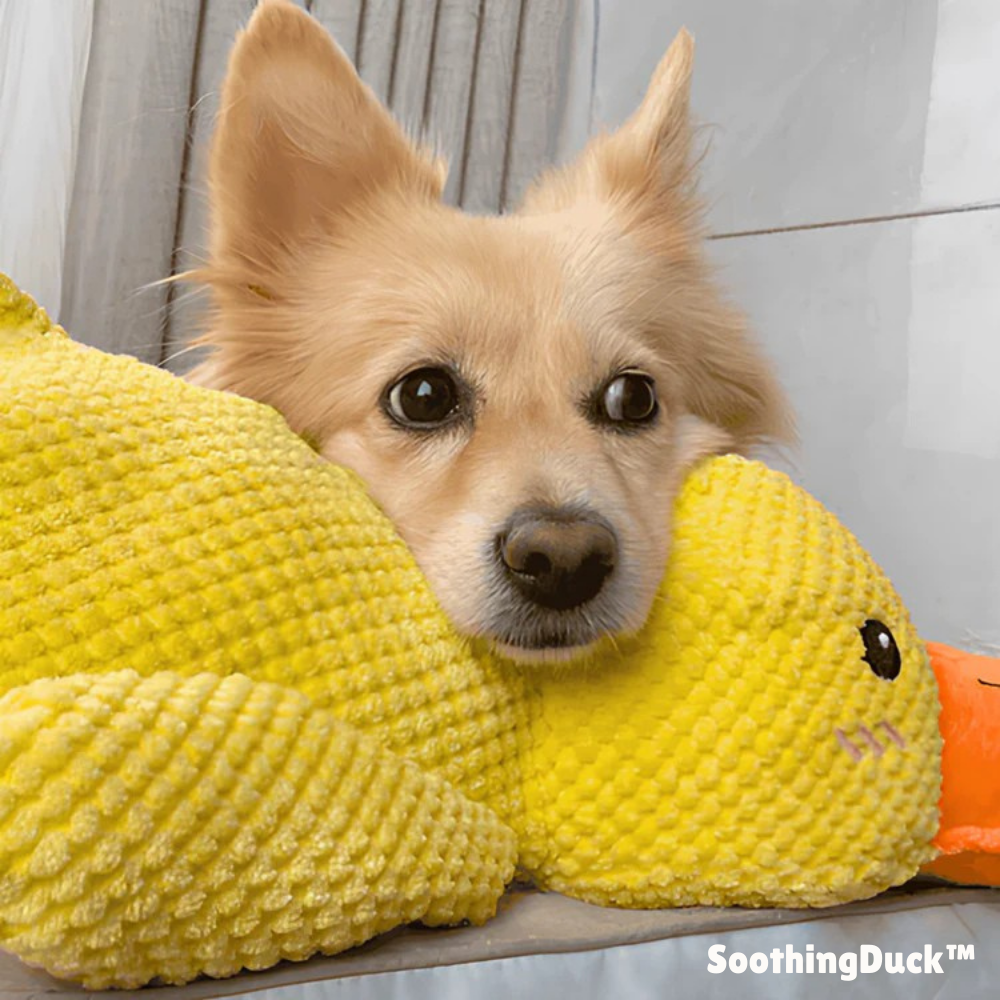 SoothingDuck | Anti-stress-anden til din hund l Vanero