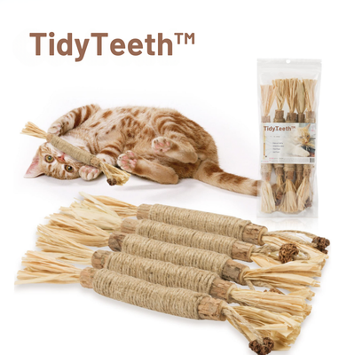 TidyTeeth | Naturlig Silvervine Stick tyggelegetøj til katte l Vanero