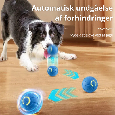 BounceMate | Interaktiv Bold Til Kæledyr l Vanero
