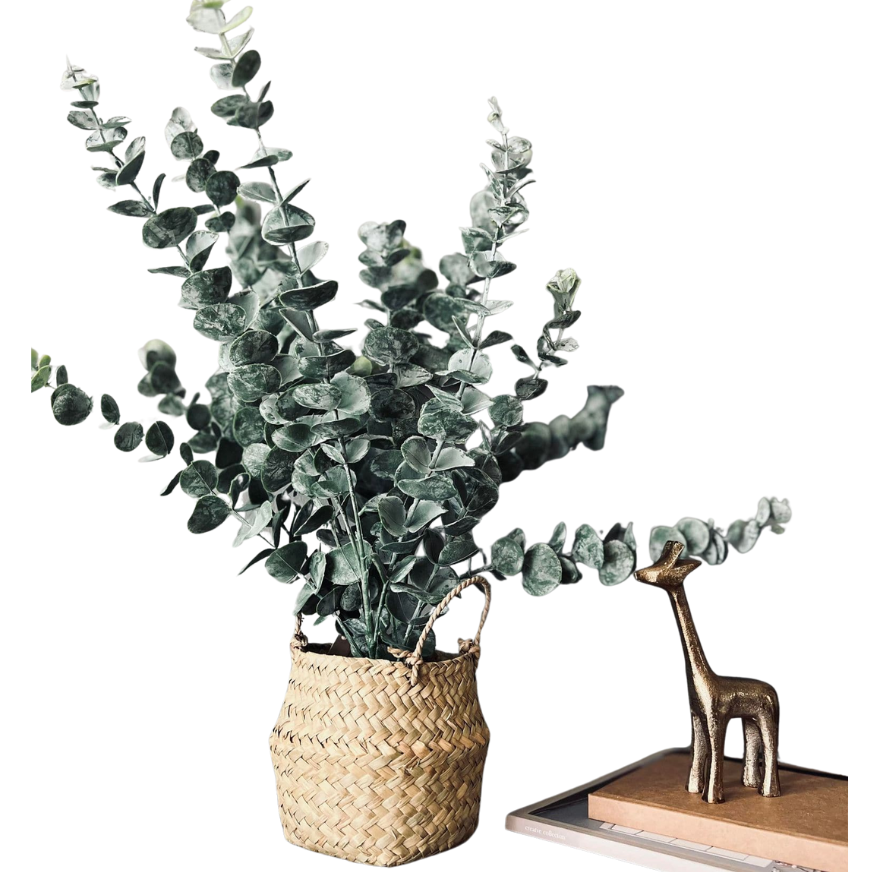 Eucalyptus | Kurv | Vanero