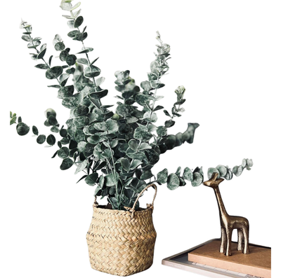 Eucalyptus | Kurv | Vanero