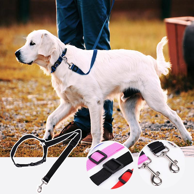 PetSecure | Sikkerhed og Komfort til din Bedste ven på Vejen | Vanero