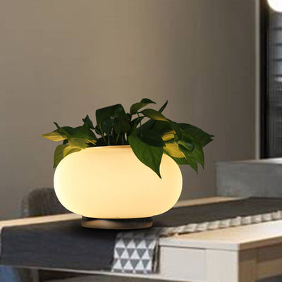 Hvid Glas Oval Bordlampe | Industriel LED Stue Natbordslampe med Plante Dekoration | Vanero