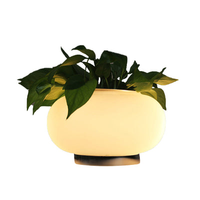 Hvid Glas Oval Bordlampe | Industriel LED Stue Natbordslampe med Plante Dekoration | Vanero