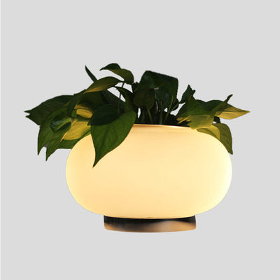 Hvid Glas Oval Bordlampe | Industriel LED Stue Natbordslampe med Plante Dekoration | Vanero