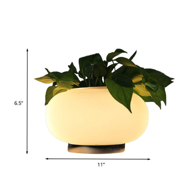 Hvid Glas Oval Bordlampe | Industriel LED Stue Natbordslampe med Plante Dekoration | Vanero
