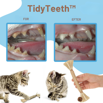 TidyTeeth | Naturlig Silvervine Stick tyggelegetøj til katte l Vanero