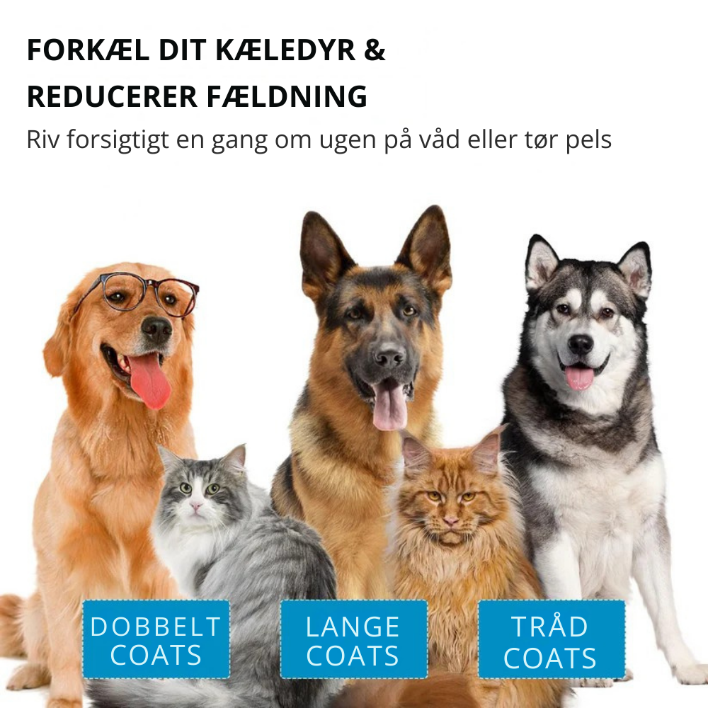 Pelspleje Mist Med Plantebaseret Formel | Vandfri Pelsplejespray Med Kamille & Aloe Vera | Daglig Pleje Til Kæledyr | Vanero