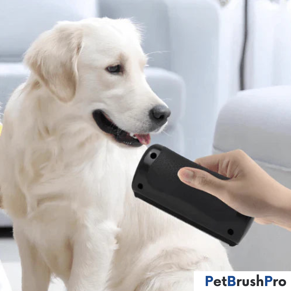 PetBrush Pro | Professionel Børste l Vanero