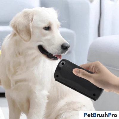 PetBrush Pro | Professionel Børste l Vanero