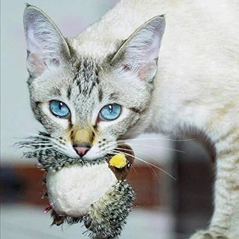 Catfri BirdToy | Interaktiv Kvidrende Fugl Legetøj Til Katte | Vanero