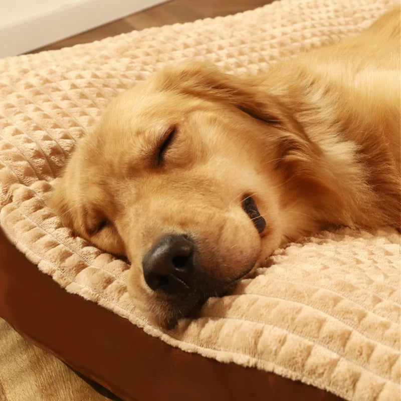 ComfyCanine | Ergonomisk Søvnkomfort Til Hunde | Vanero
