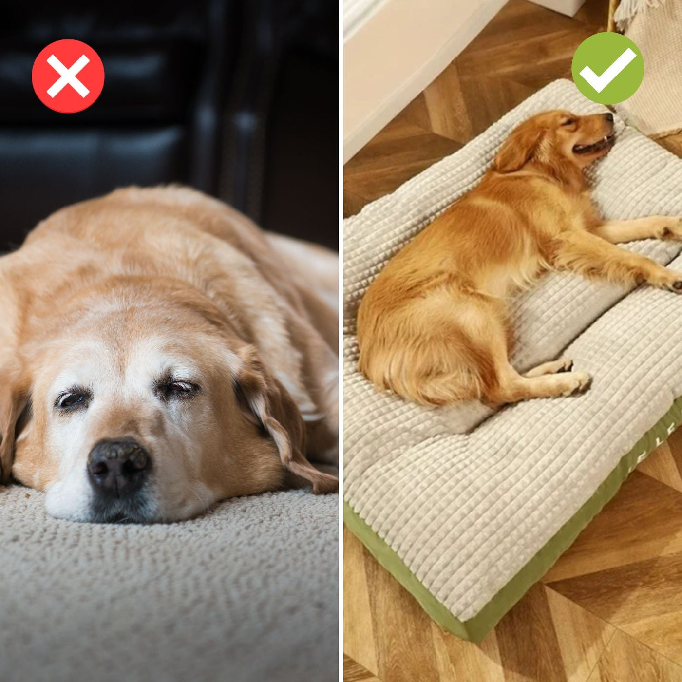 ComfyCanine | Ergonomisk Søvnkomfort Til Hunde | Vanero