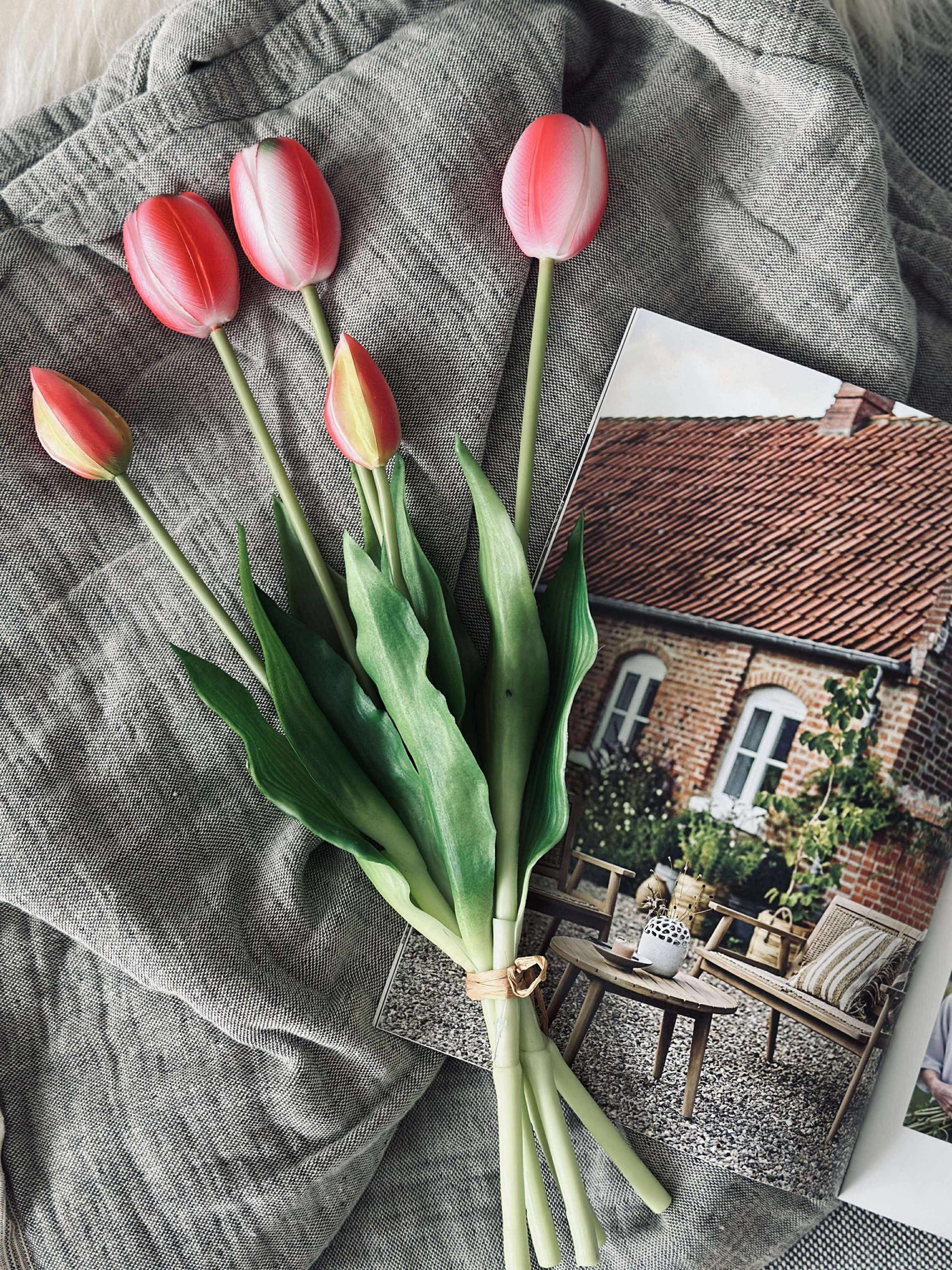 Tulipaner | Flere Farver | Vanero
