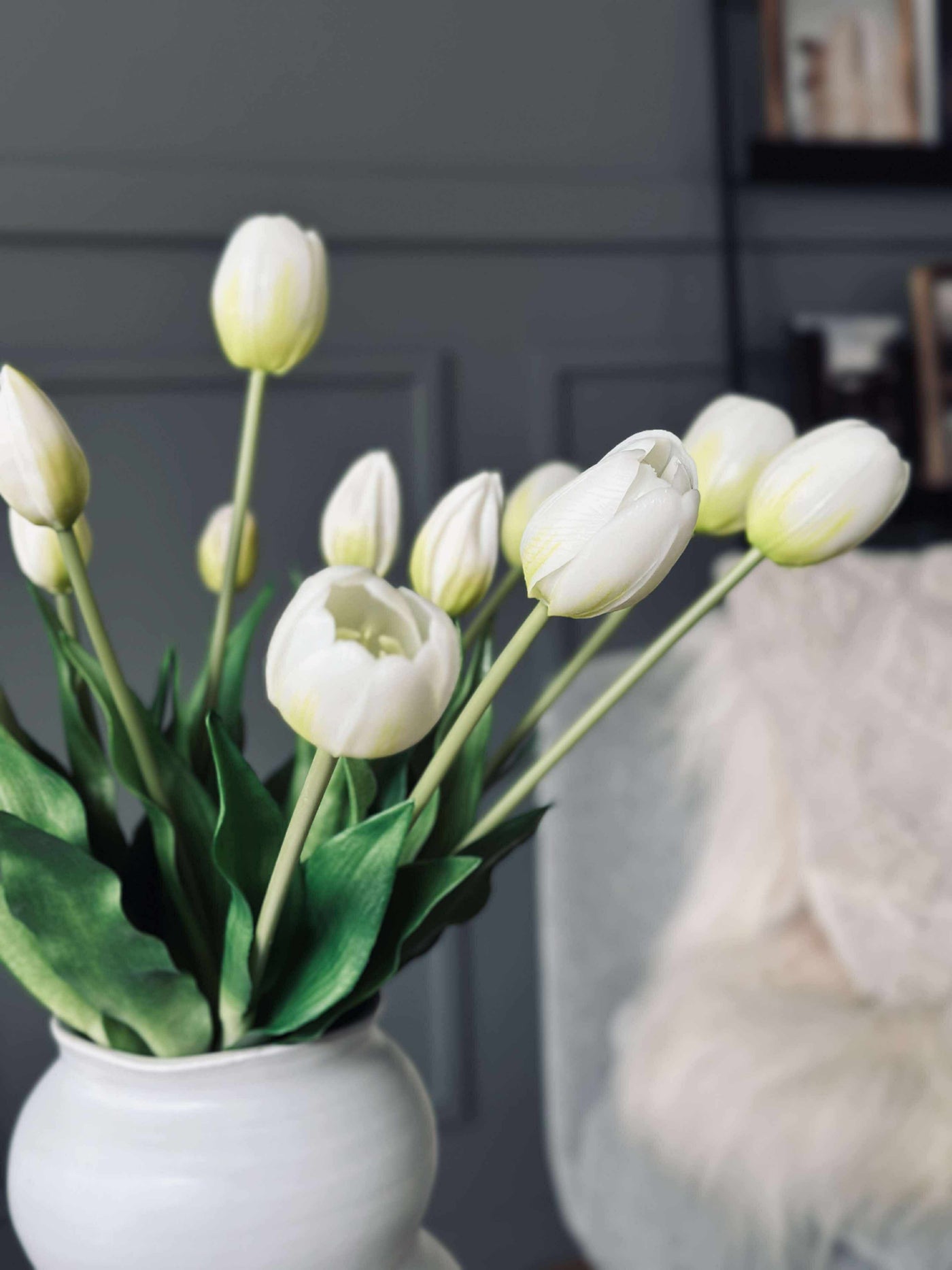 Tulipaner | Flere Farver | Vanero