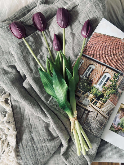 Tulipaner | Flere Farver | Vanero