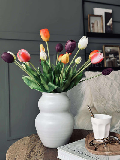 Tulipaner | Flere Farver | Vanero