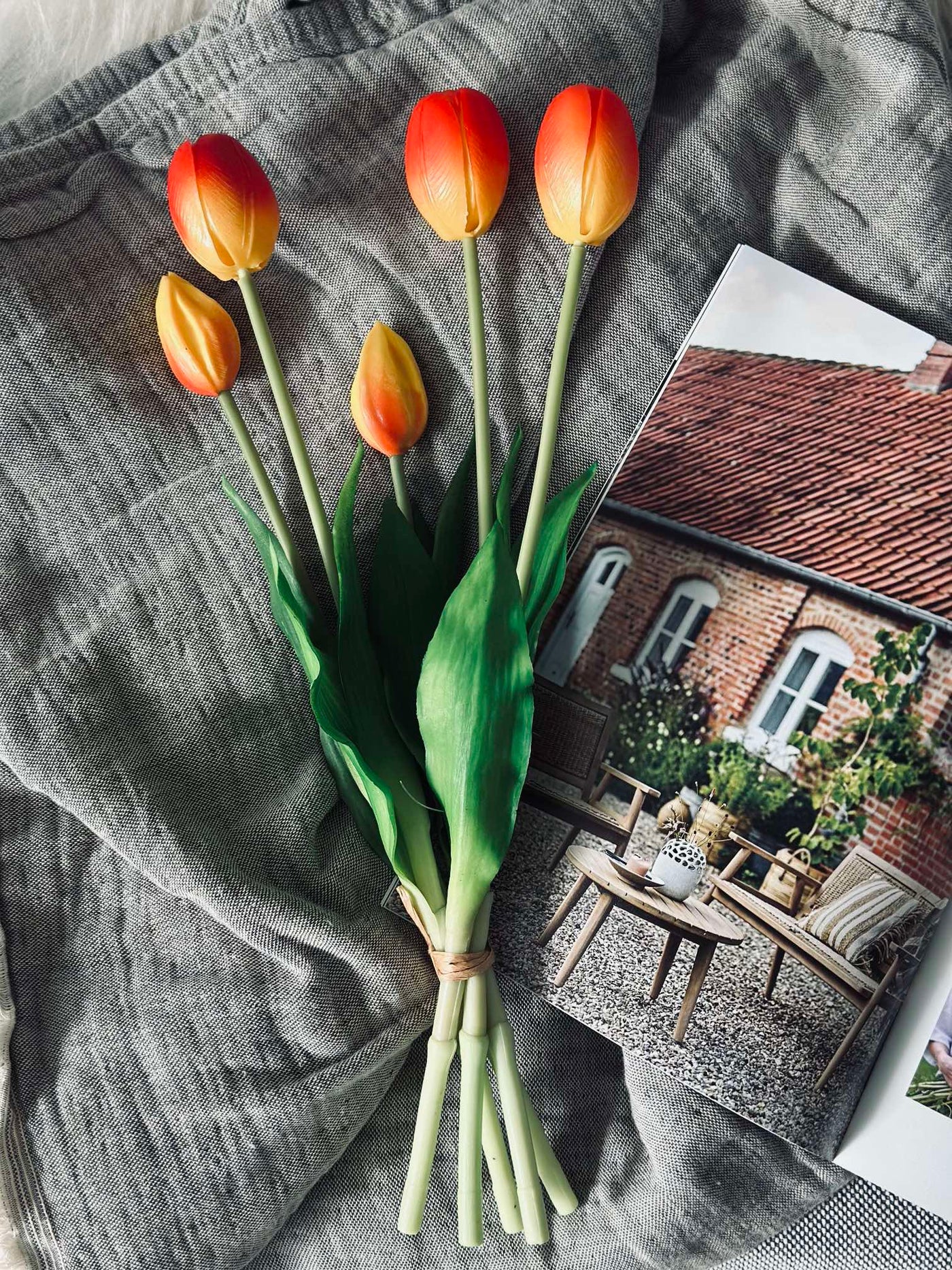Tulipaner | Flere Farver | Vanero