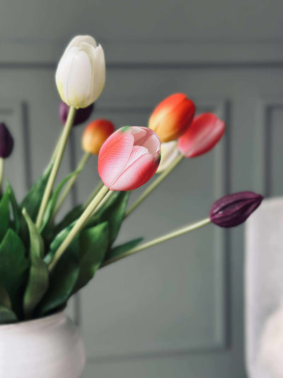 Tulipaner | Flere Farver | Vanero