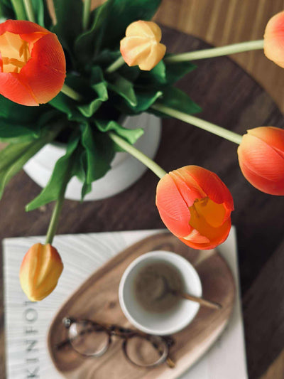 Tulipaner | Flere Farver | Vanero