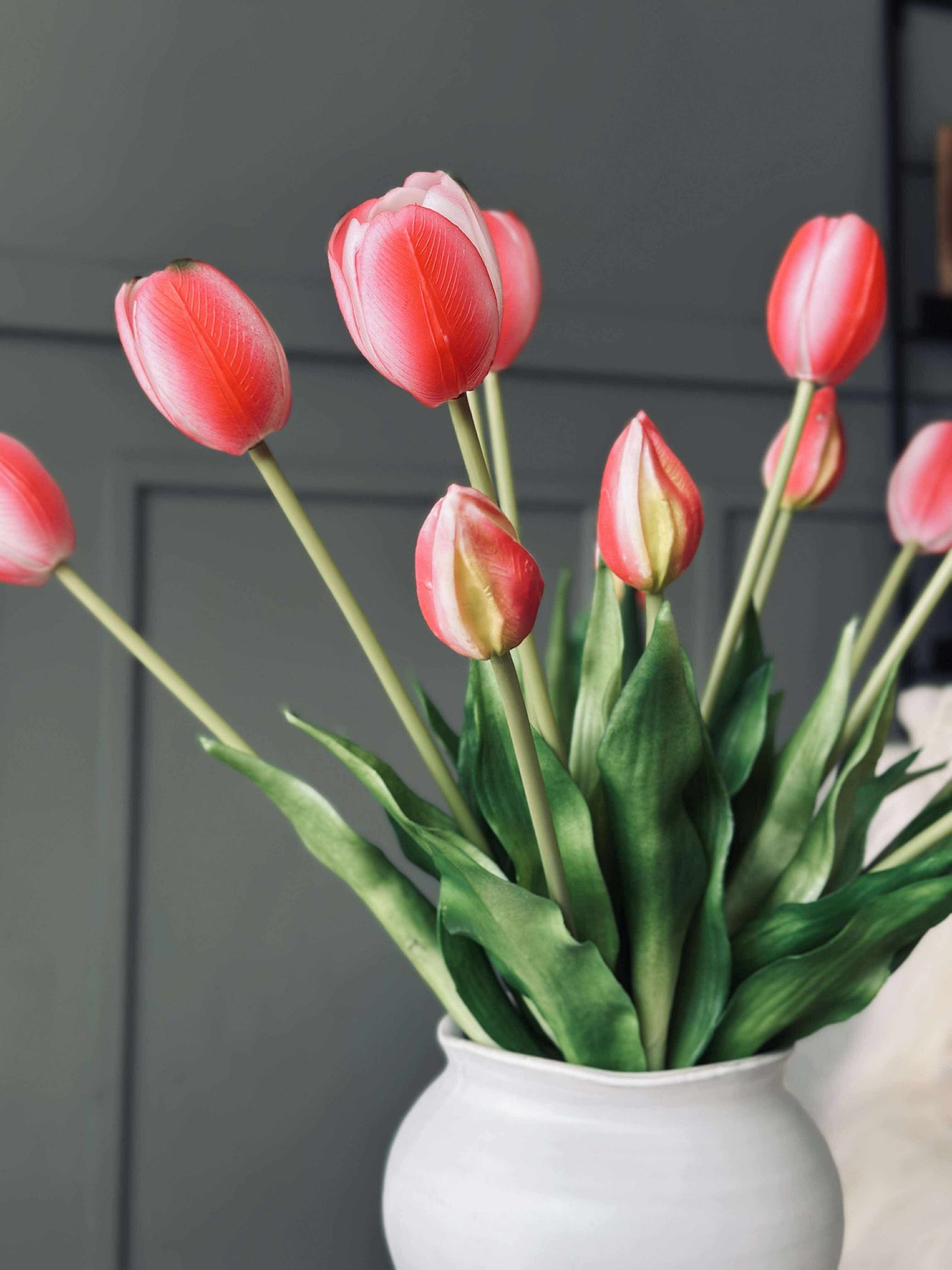 Tulipaner | Flere Farver | Vanero