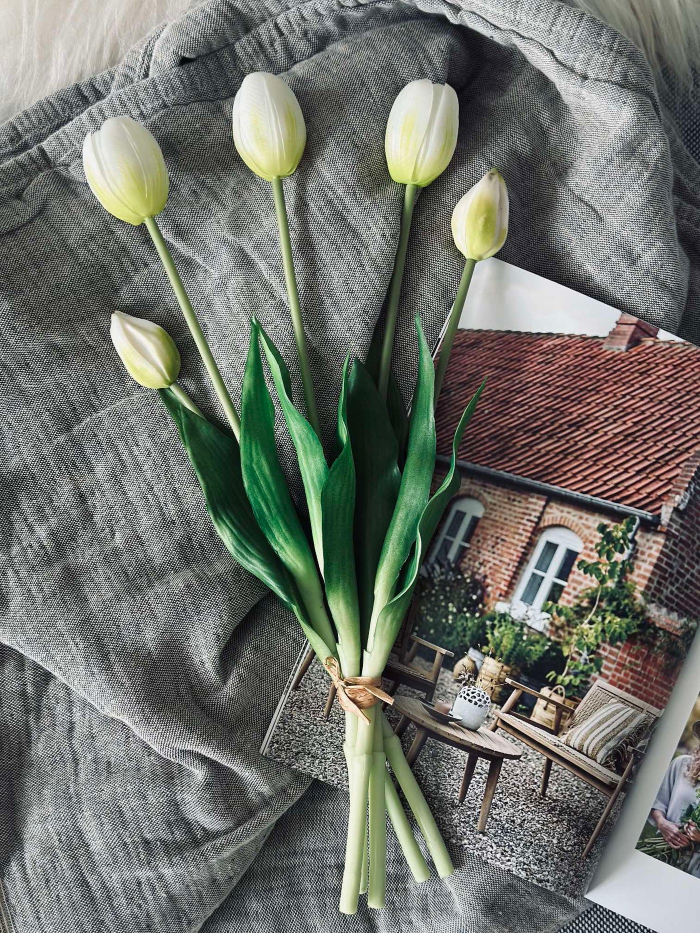 Tulipaner | Flere Farver | Vanero