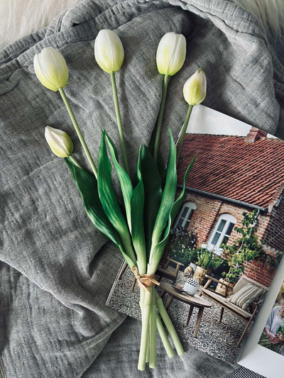 Tulipaner | Flere Farver | Vanero