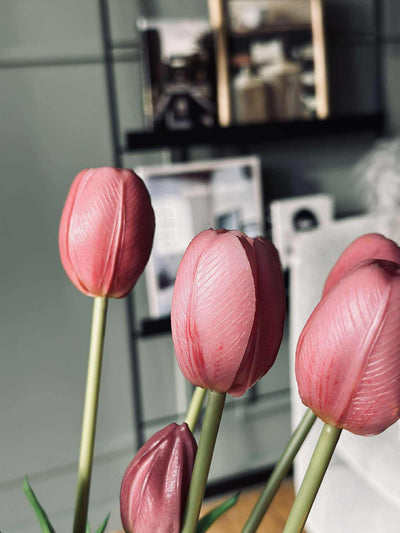 Tulipaner | Flere Farver | Vanero