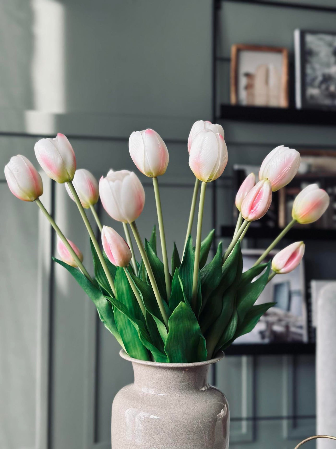 Tulipaner | Flere Farver | Vanero